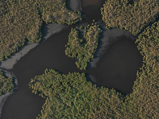 Luftaufnahme der Sümpfe von Brière