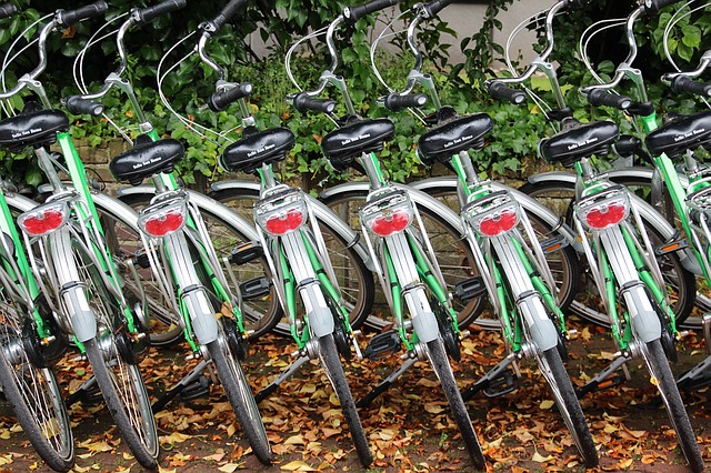 Bike rentals