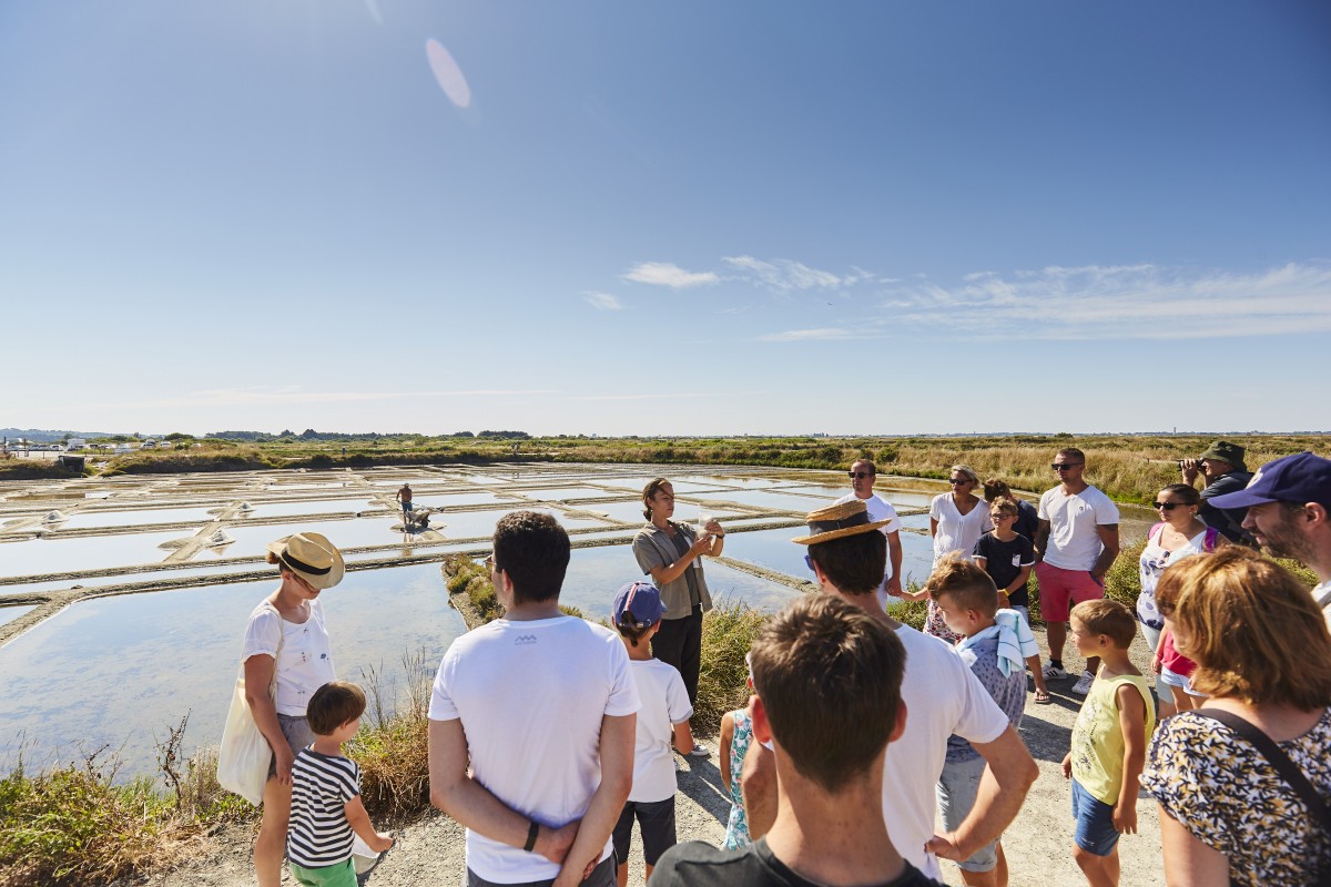 Visites