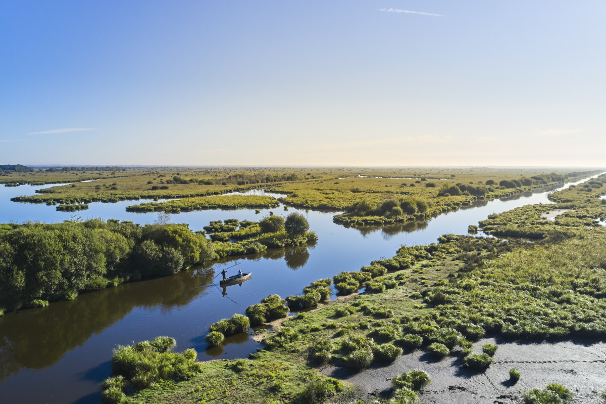 Le Parc naturel régional de Brière