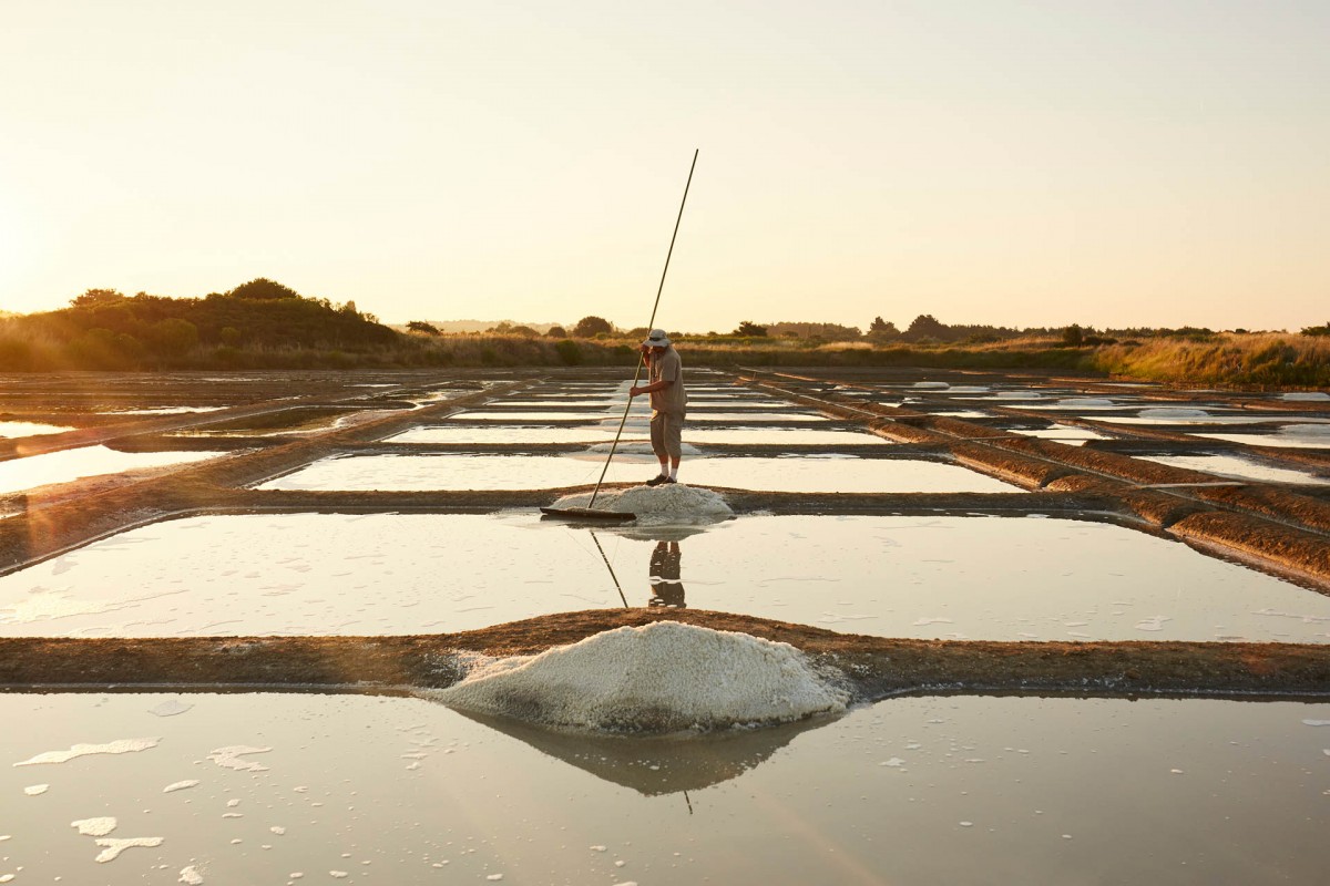 Les marais salants, le pays blanc