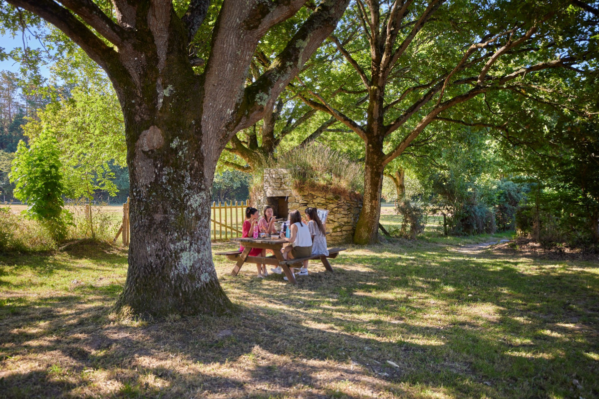 Picnic areas