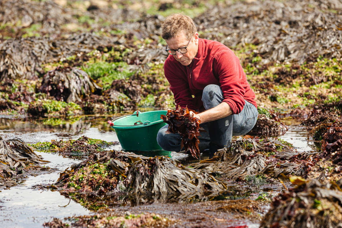 Réservez votre animation