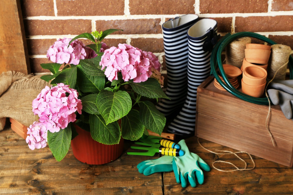 Fleuristes - Jardineries - Soin des animaux à Piriac-sur-Mer