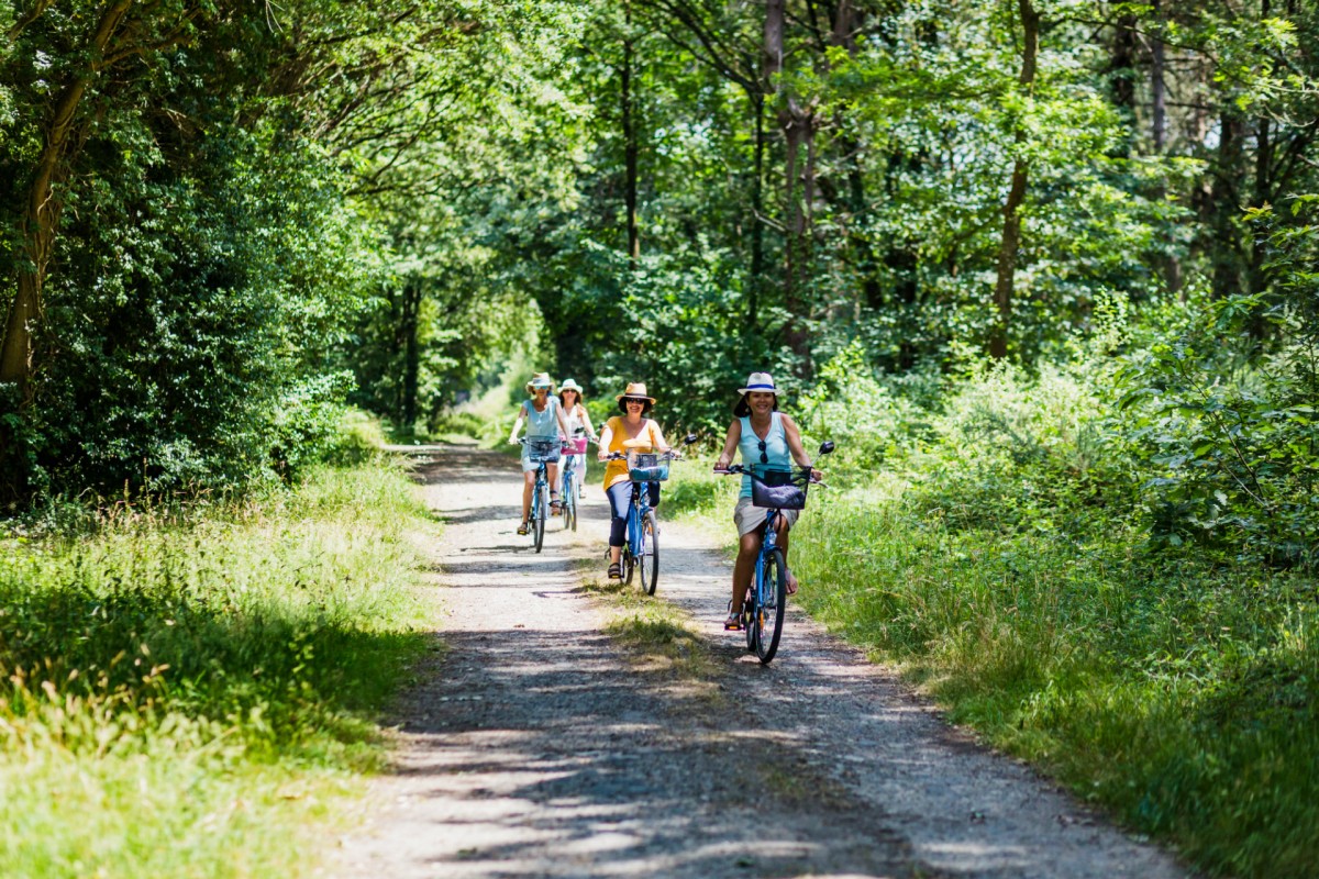 Getting around Guerande Peninsula