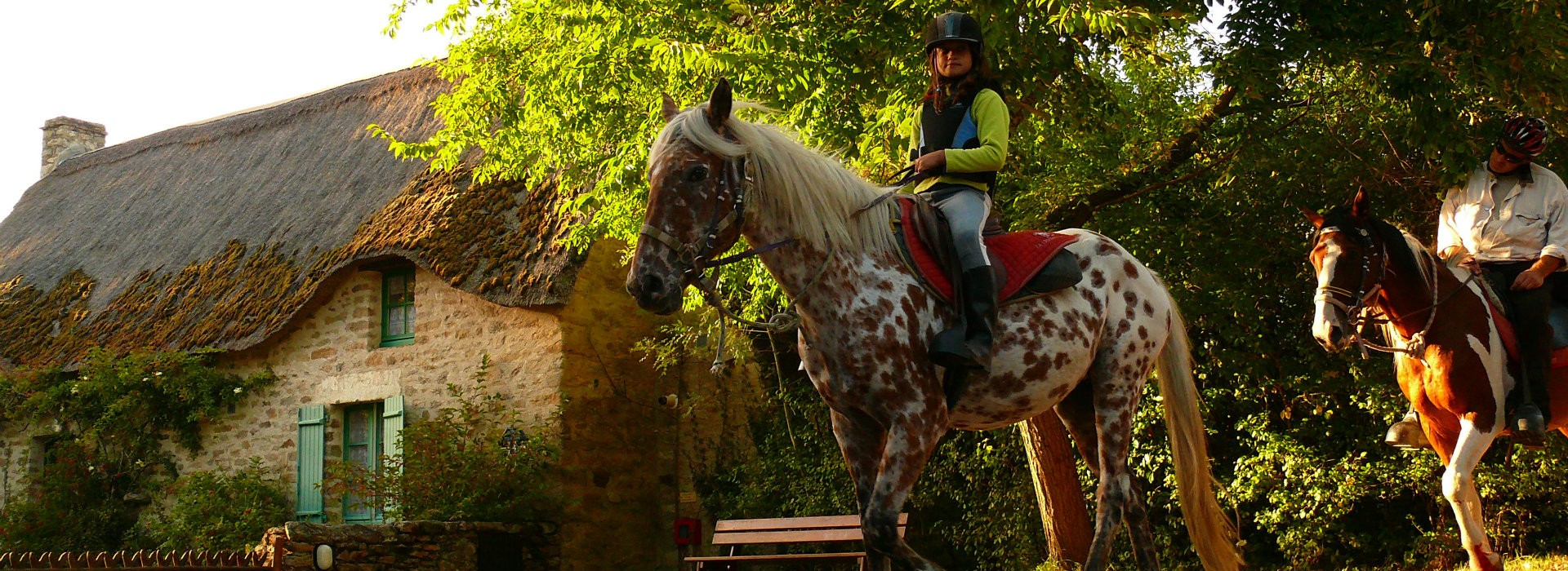 A cheval en Brière