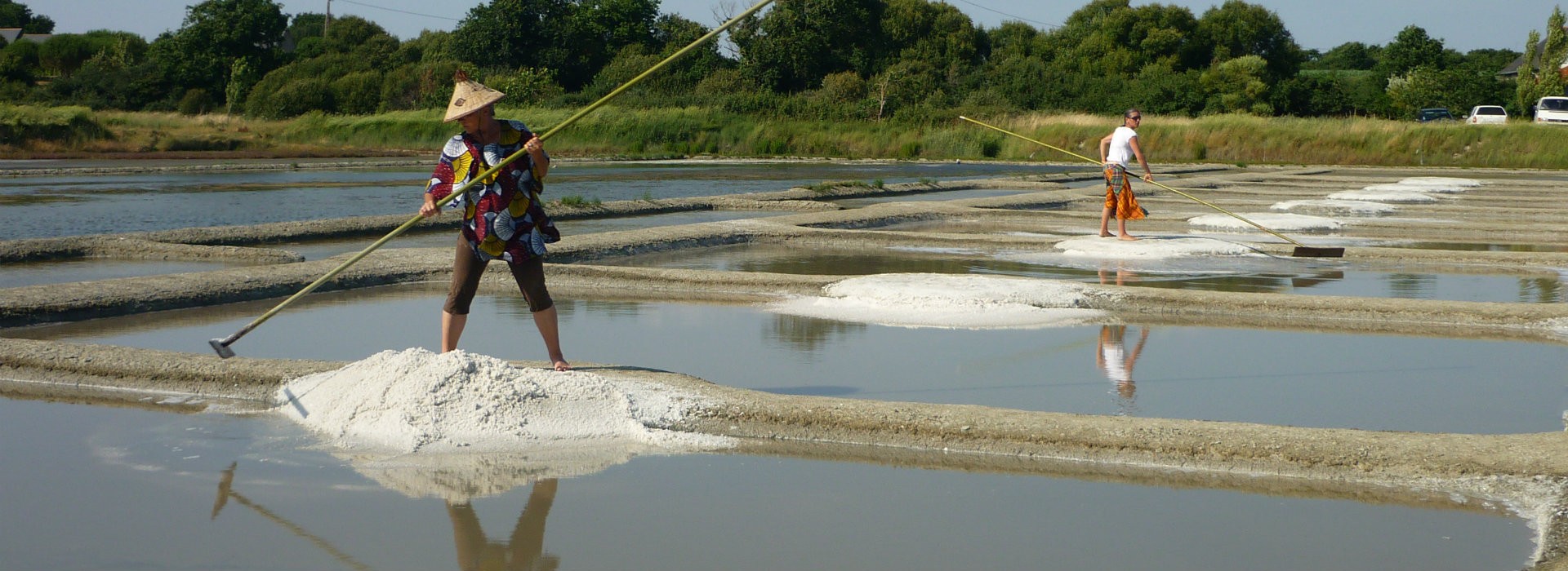 Dans l'intimité des marais salants du Mès-Mairie Asserac