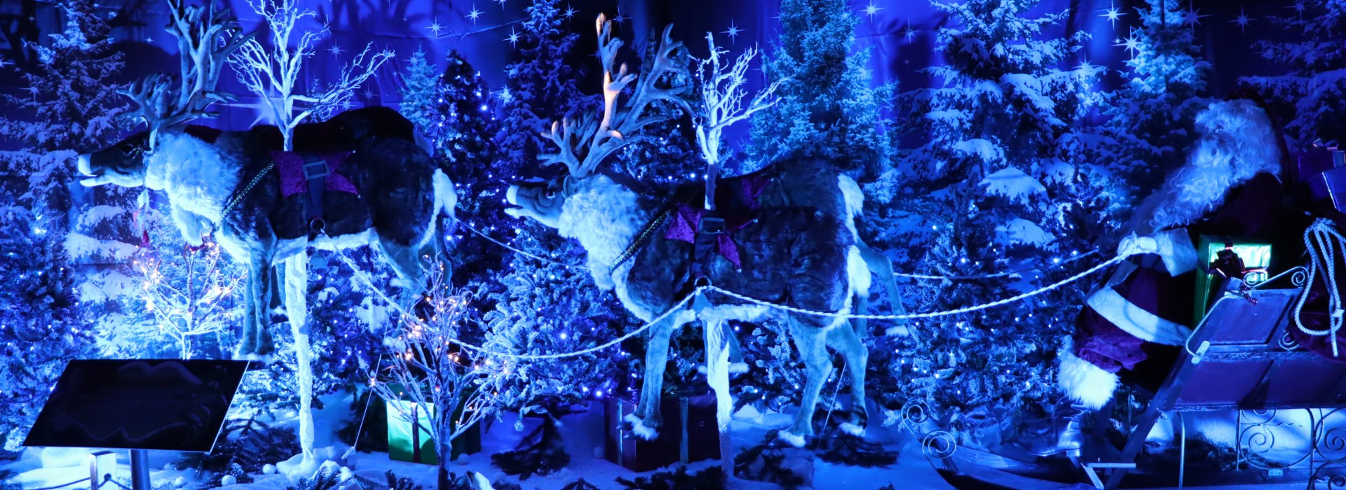 Les animations de Noël 2025