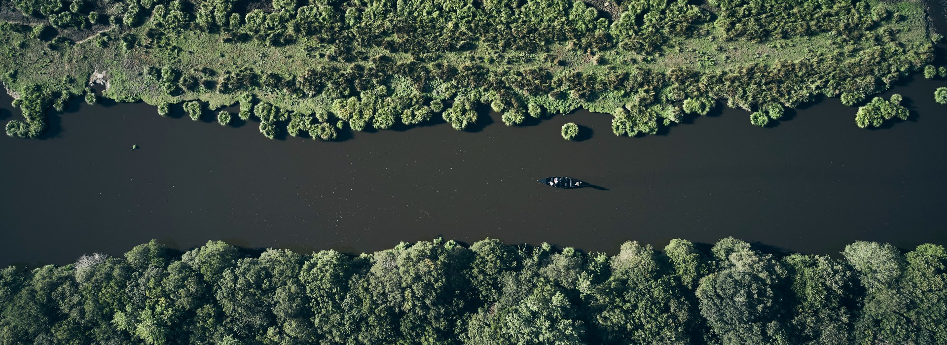 Marais de Brière - Parc naturel régional de Brière