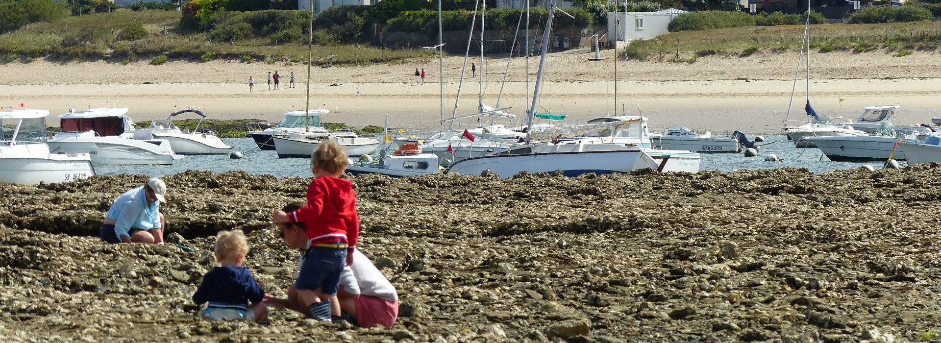 A voir, à faire à Mesquer-Quimiac - OT La Baule Presqu'île de Guérande