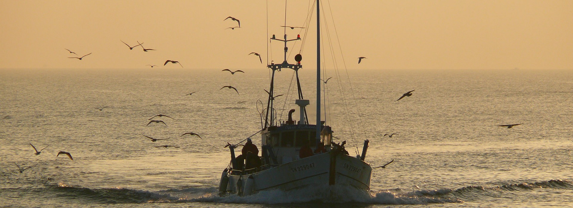 Sea fishing trips - Bruno Schoch