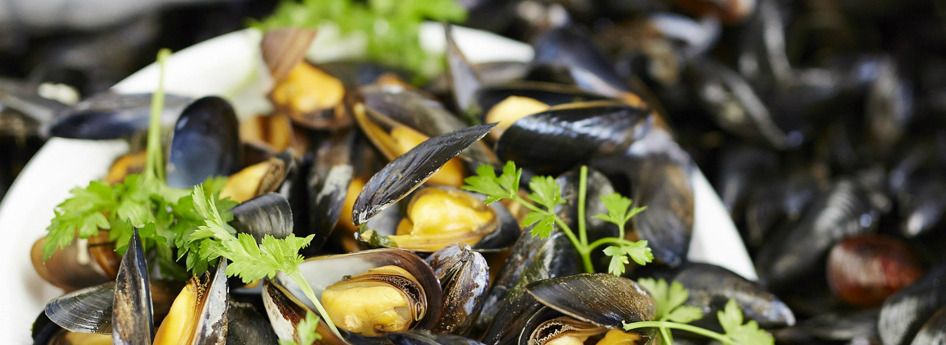 Production de moules à Pénestin - Alexandre Lamoureux