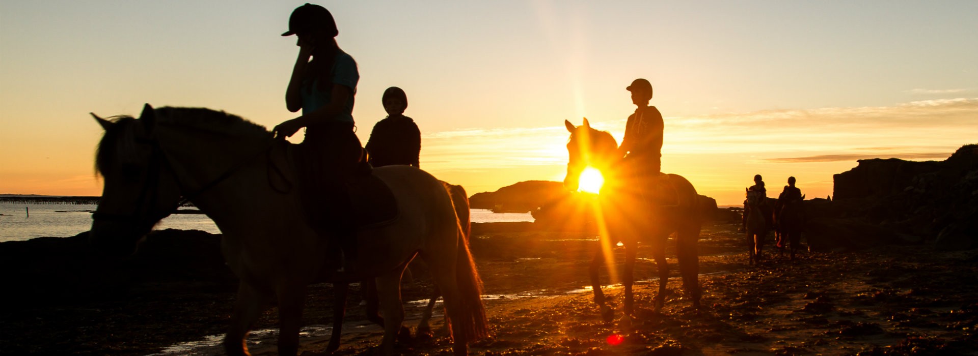 Randonnées à cheval