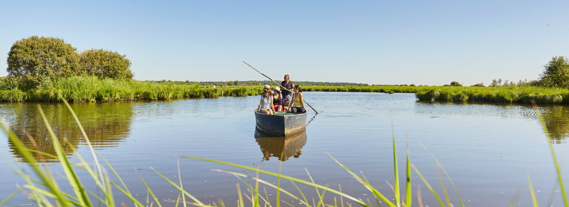 Observez... Vous êtes dans les marais de Brière ! - Alexandre Lamoureux