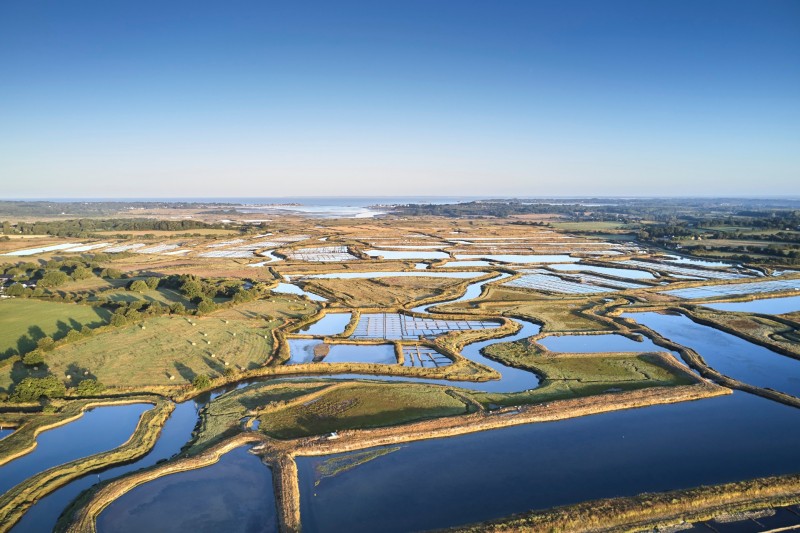 140 hectares de marais salants : le bassin du Mès saint-molf