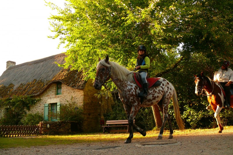 A cheval en Brière