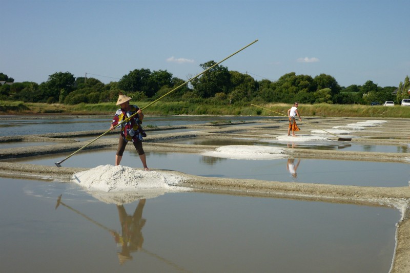 Dans l'intimité des marais salants du Mès-Mairie Asserac