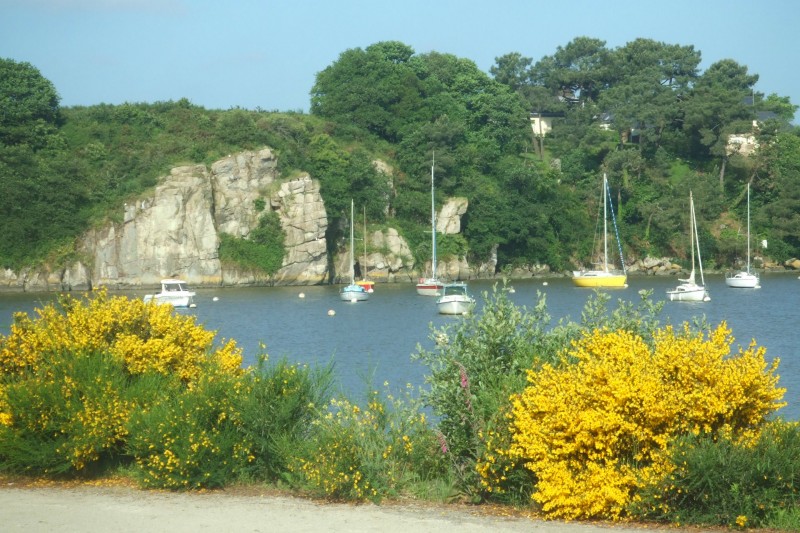 Bords de Vilaine à Camoël - Mairie de Camoël