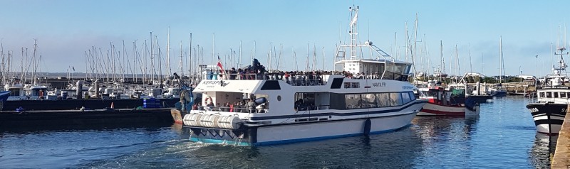 Cap vers les îles - Belle Ile - Houat et Hoëdic