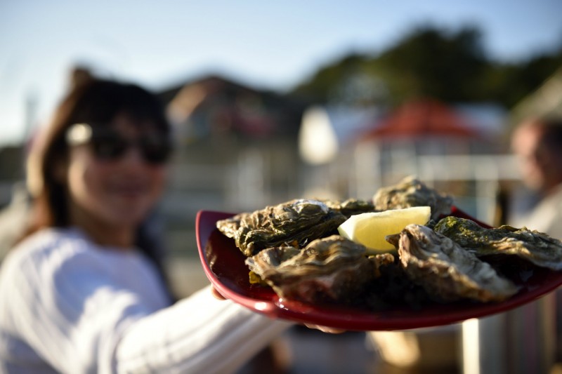 Déguster des huîtres à Kercabellec- CRT Bretagne Gladu Ronan