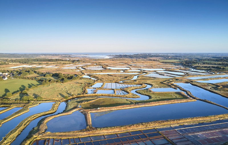 Dans l'intimité des marais salants du Mès