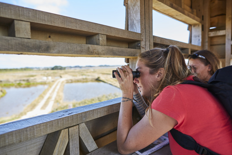 Le traict du Rostu, site privilégié pour observer les oiseaux