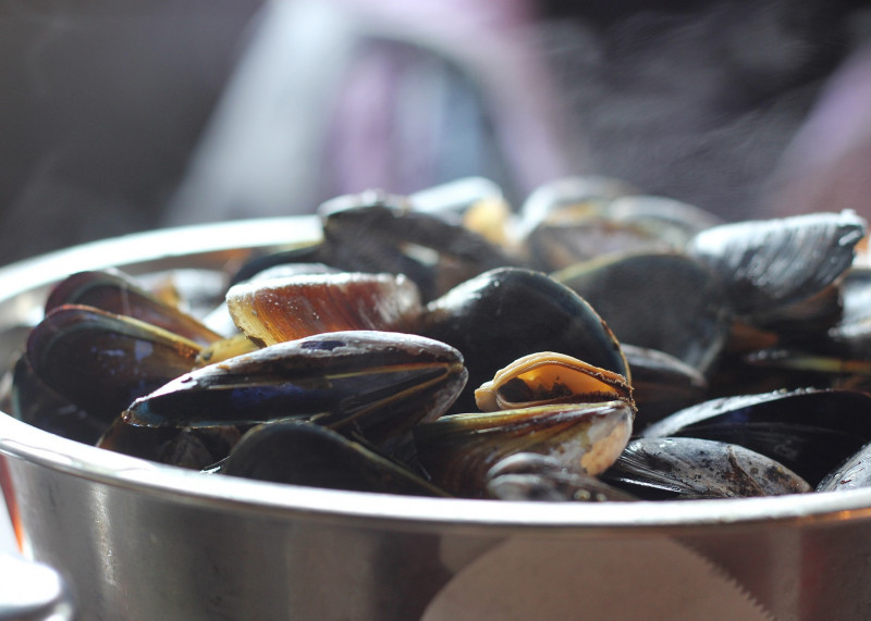 Les moules de Bouchot de Pénestin