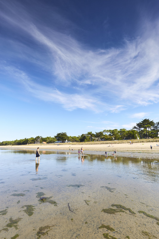 Profitez durablement de la plage en famille