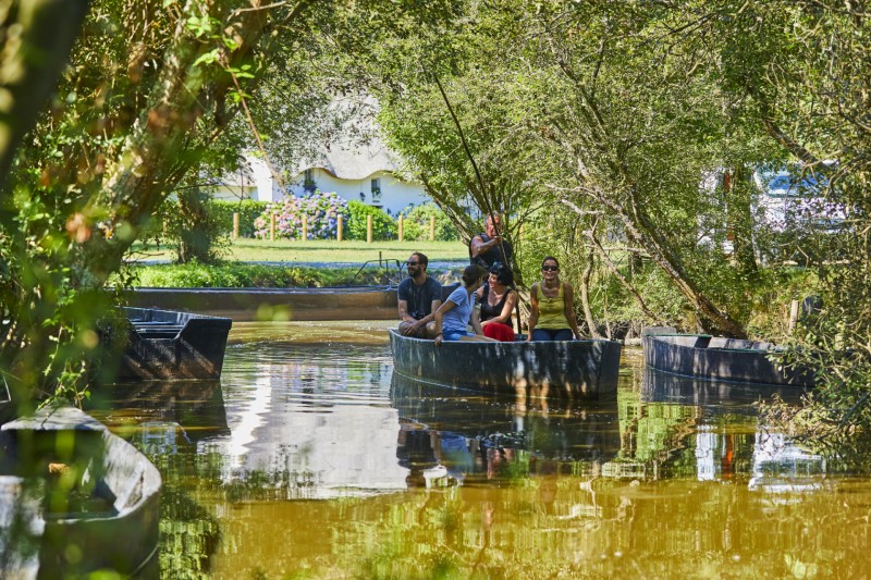 Observez... Vous êtes dans les marais de Brière ! - Alexandre Lamoureux