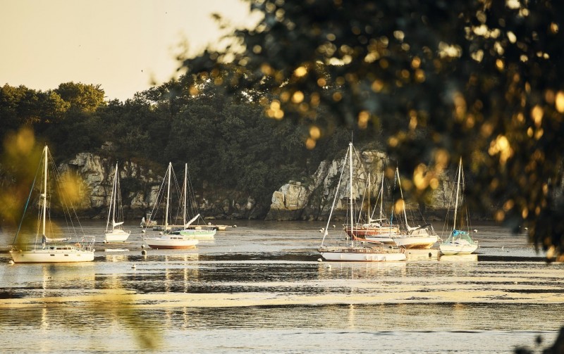 The banks of 'La Vilaine'