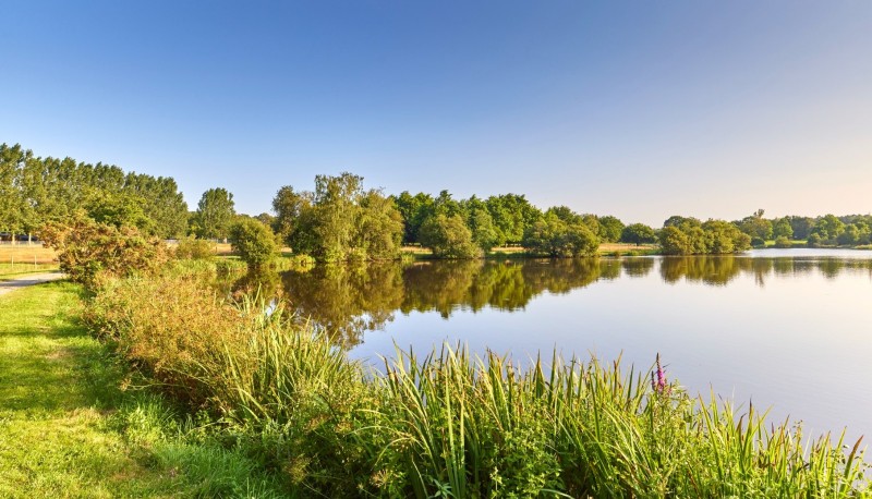 Wanderungen und radtouren in Herbignac