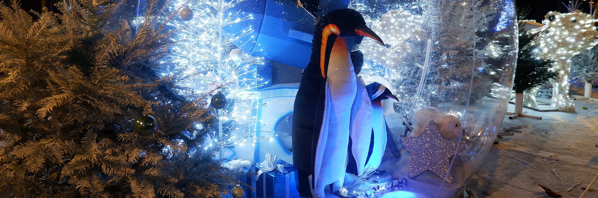 Les animations de Noël et de fin d'année