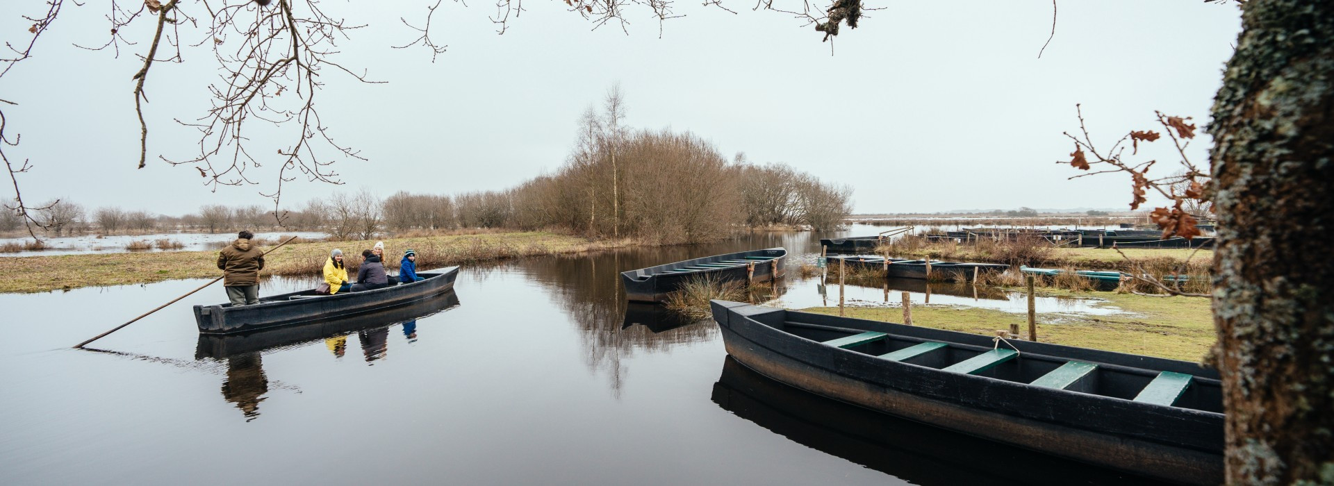 Les Marais de Brière en hiver