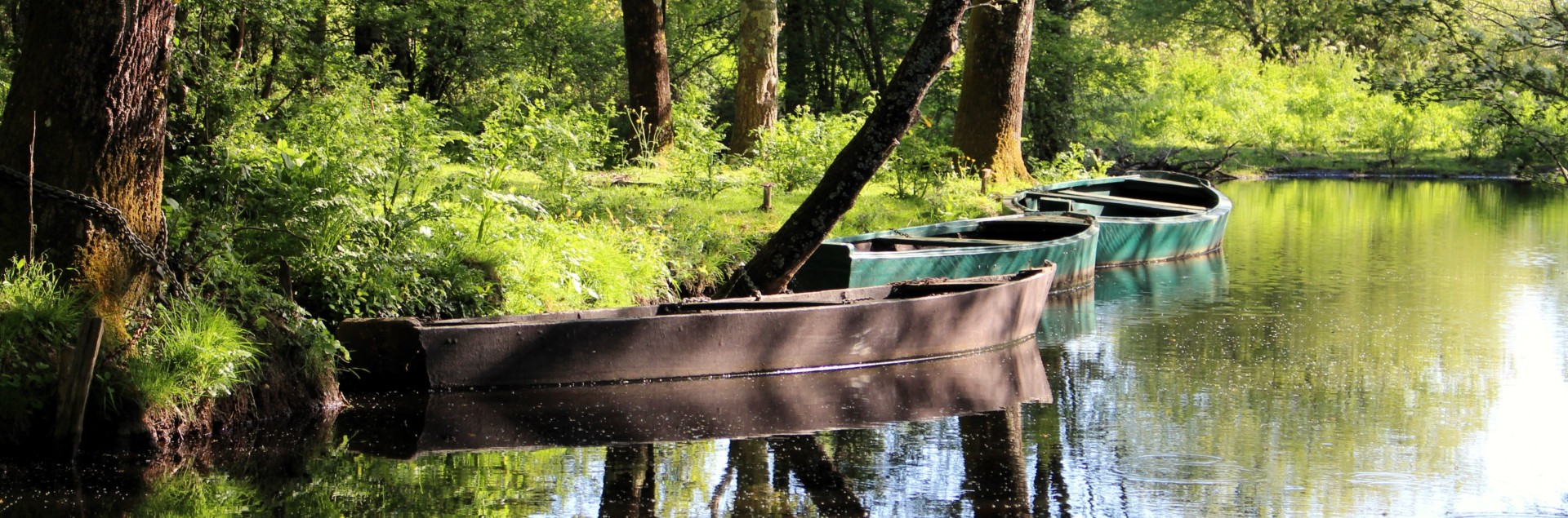 Marais de Brière - Parc naturel régional de Brière