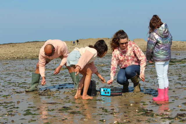 Grandes marées - préparer sa sortie pêche à pied