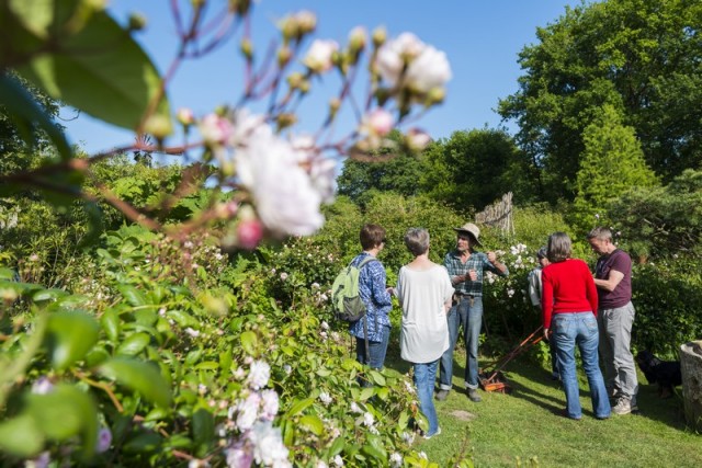 Yves L Ecolo Jardinier Du Marais