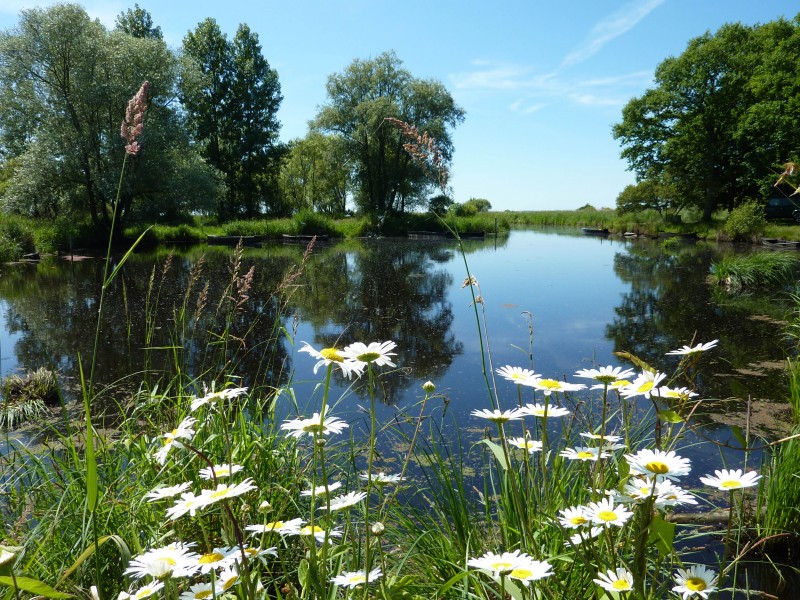 Dédales de canaux - Parc naturel régional de Brière