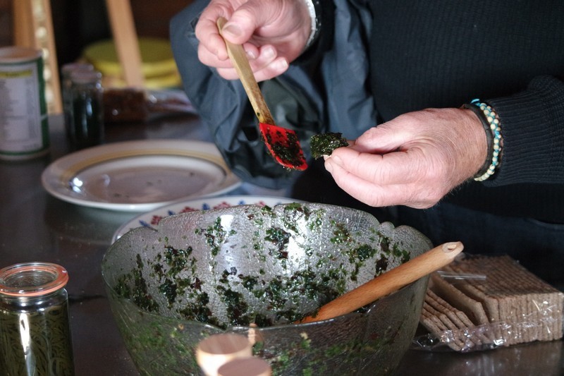 Dégustation du tartare d'algues