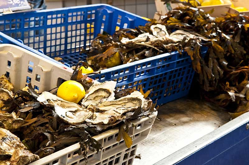 Huîtres sur le marché de Pornichet