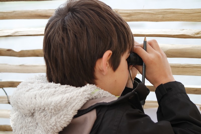 Ivan, petit reporter nature