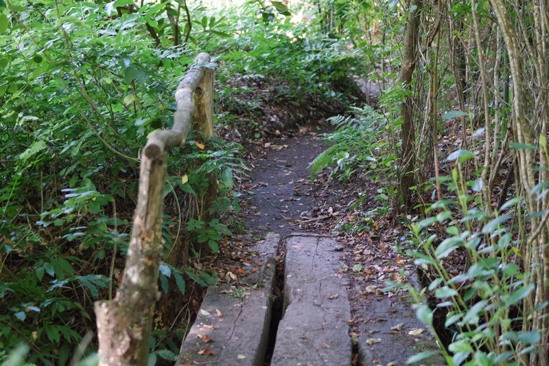 Jardins des Marais à Herbignac