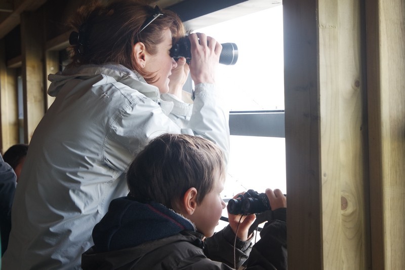 Observation des oiseaux à la Réserve naturelle régionale Pierre Constant