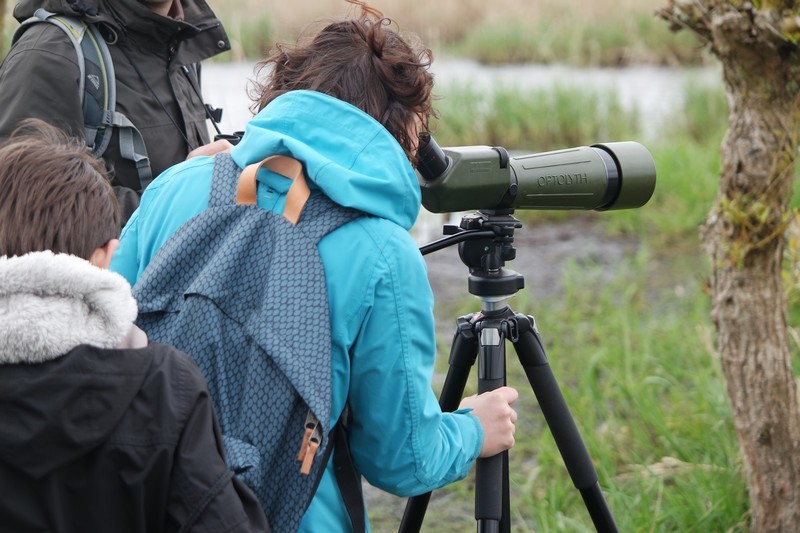 Observation à la longue vue dans le marais de Brière