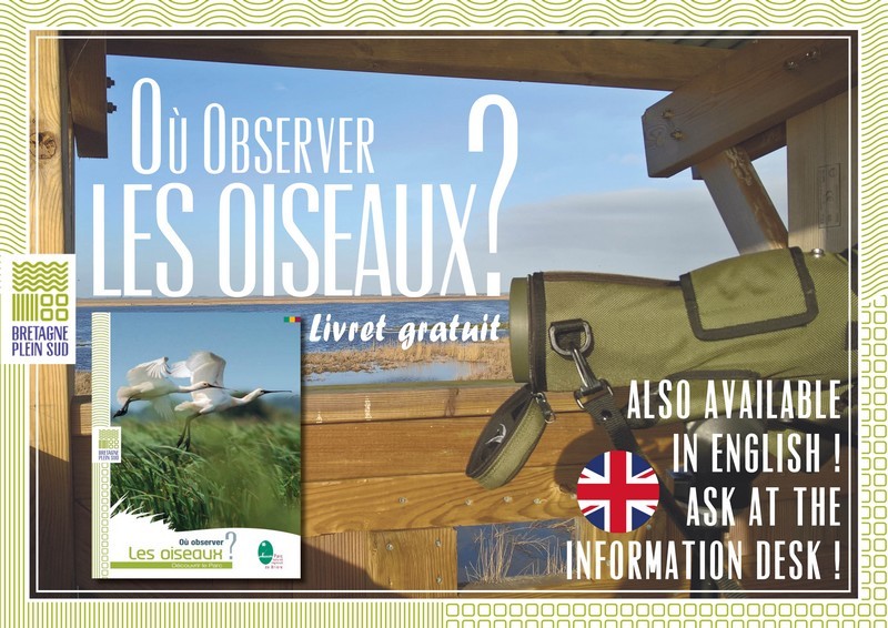 Où observer les oiseaux ?