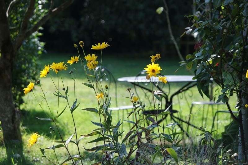 Parc du Moulin de Kergas Herbignac