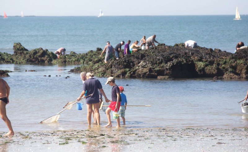 Pêche à pied