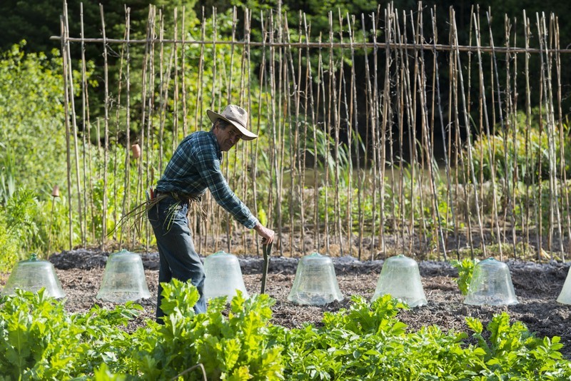 Potager du Jardin des Marais à Herbignac