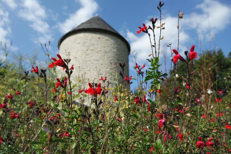 Tour du Moulin de Kergas à Herbignac