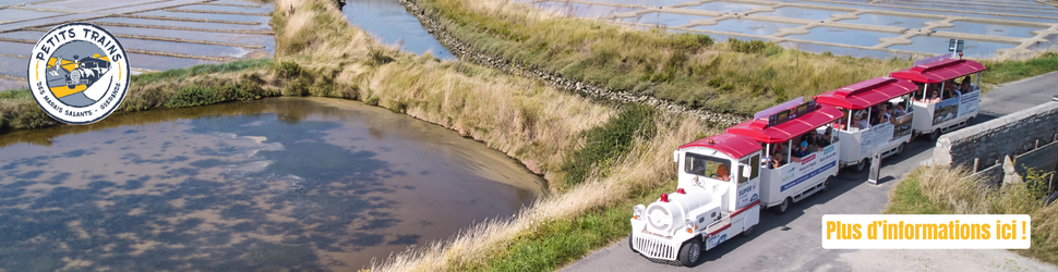 Visite des marais salants en petit train