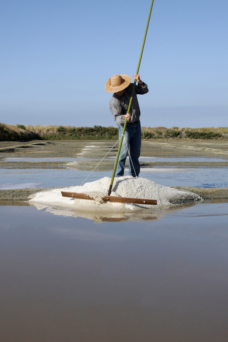 01 - Guérande - Terre de Sel - Pradel Marais Salants / Photo Pascal François